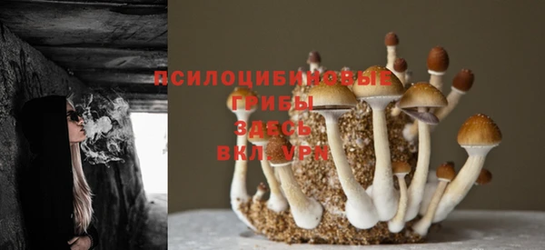 MDMA Горняк