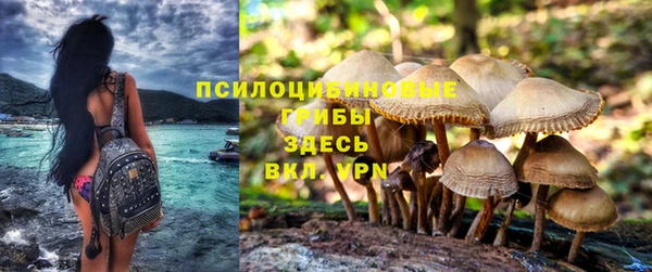 гидропоника Горно-Алтайск